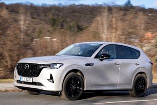 Koupila si nové auto, to už půl roku stojí. Nevíme, kdy ho opravíme, ale zaplaťte za prohlídku, řekl servis - Novinky